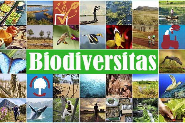 Biodiversitas Indonesia