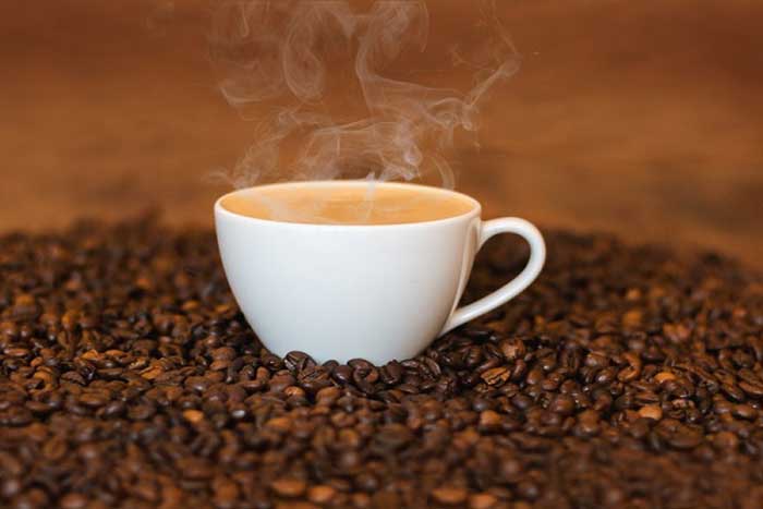 Memulai Usaha Kopi
