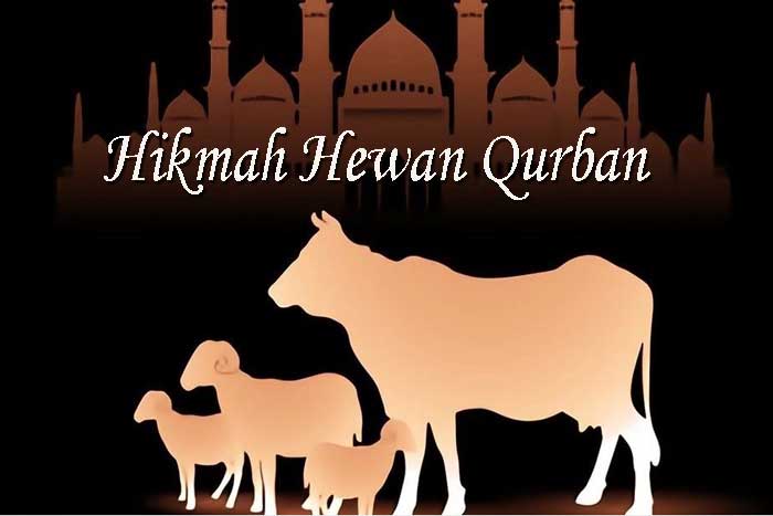 Hikmah Hewan Qurban