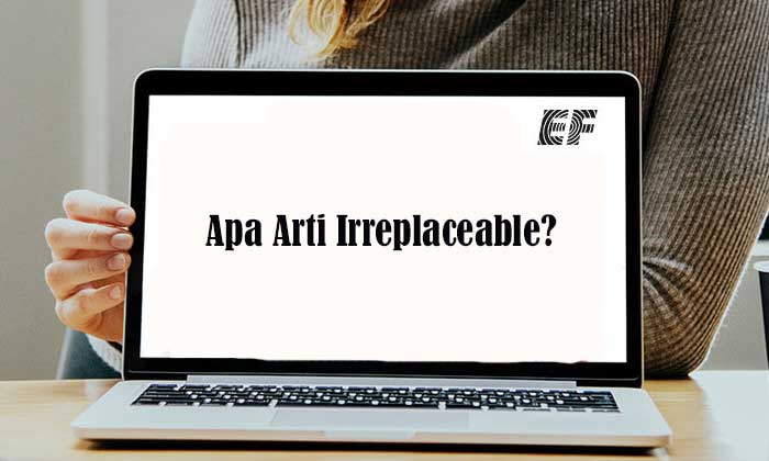 arti irreplaceable