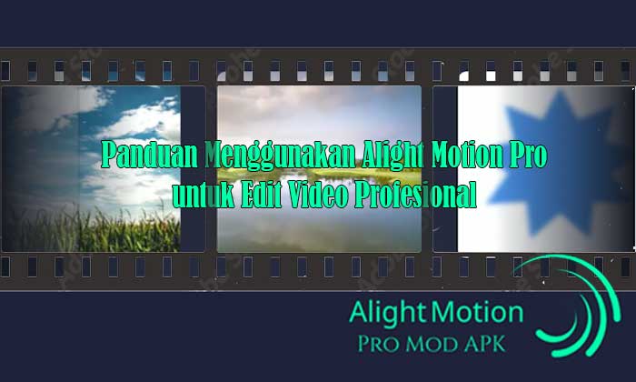 alight motion pro aplikasi edit video